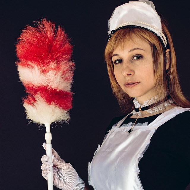 พนักงานทำความสะอาดมืออาชีพ