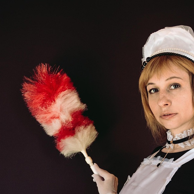 ทีมทำความสะอาด GREAT CLEANING